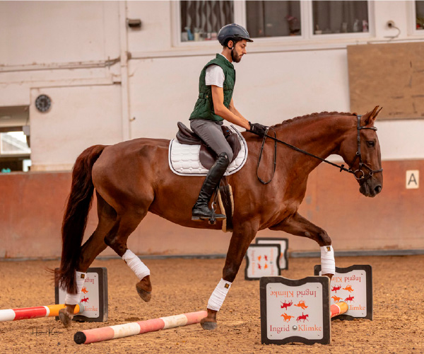 reiten1