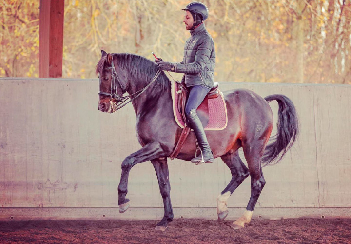 reiten2