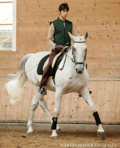 reiten4