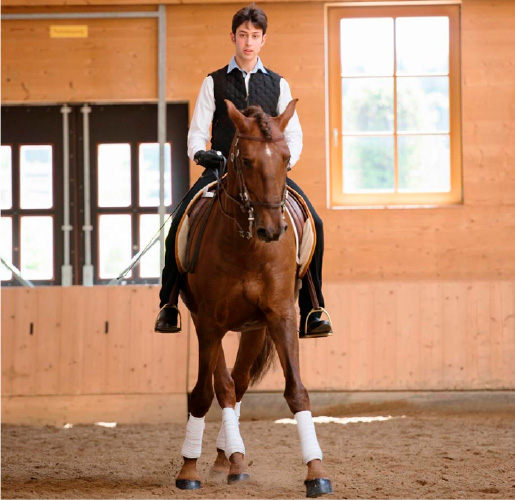reiten7